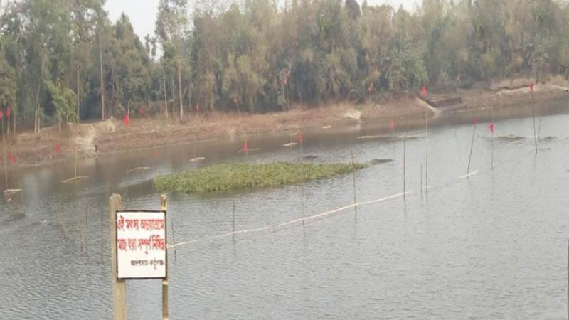 রংপুরে অভয়াশ্রমে বিপন্ন প্রজাতির মাছ সংরক্ষণ