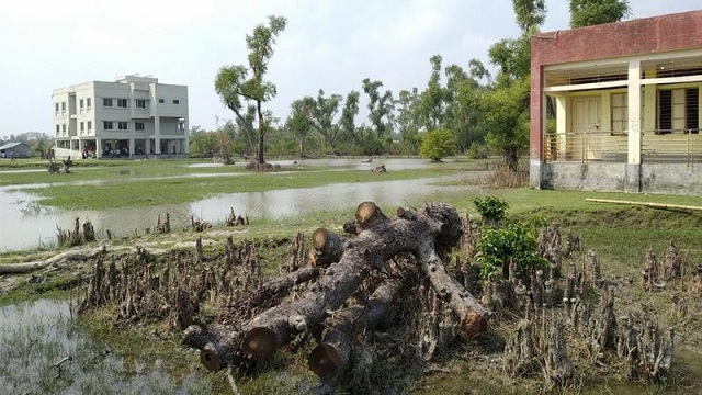 সংরক্ষিত বনে অবকাঠামো নির্মাণে ক্ষতিপূরণ চাইবে পরিবেশ মন্ত্রণালয়